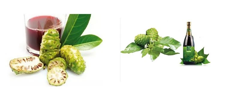 product-1-1 Application of Noni Powder